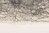 Darel (1924-2017), Topografias - Gravura em metal (21/100) s/ papel, ass. dat. 1995, numerado e titulado na parte inf.