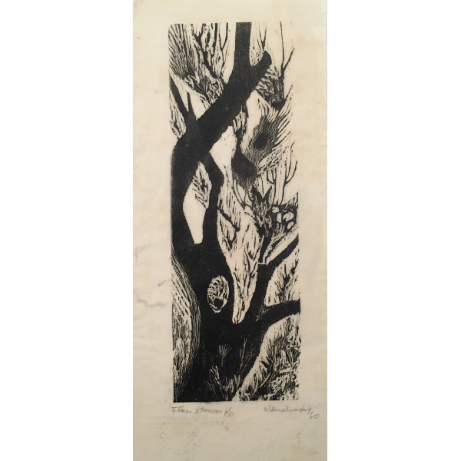 Wilma Martins (1934-2022)