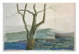 Décio Novielo. Paisagem. Aquarela s/ papel, ass... - Décio Novielo. Paisagem. Aquarela s/ papel, ass. dat. 1978 inf. dir. Com etiqueta da Galeria Guignard / Belo Horizonte no verso. 36 x 54cm