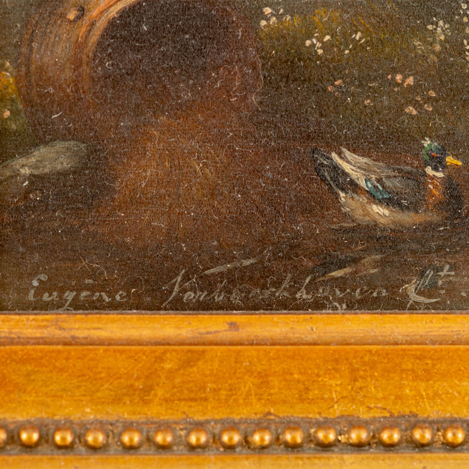 Verboeckhoven, Eugene-Joseph. Animais no campo. Óleo s/ tela, ass... - foto 2 de 4