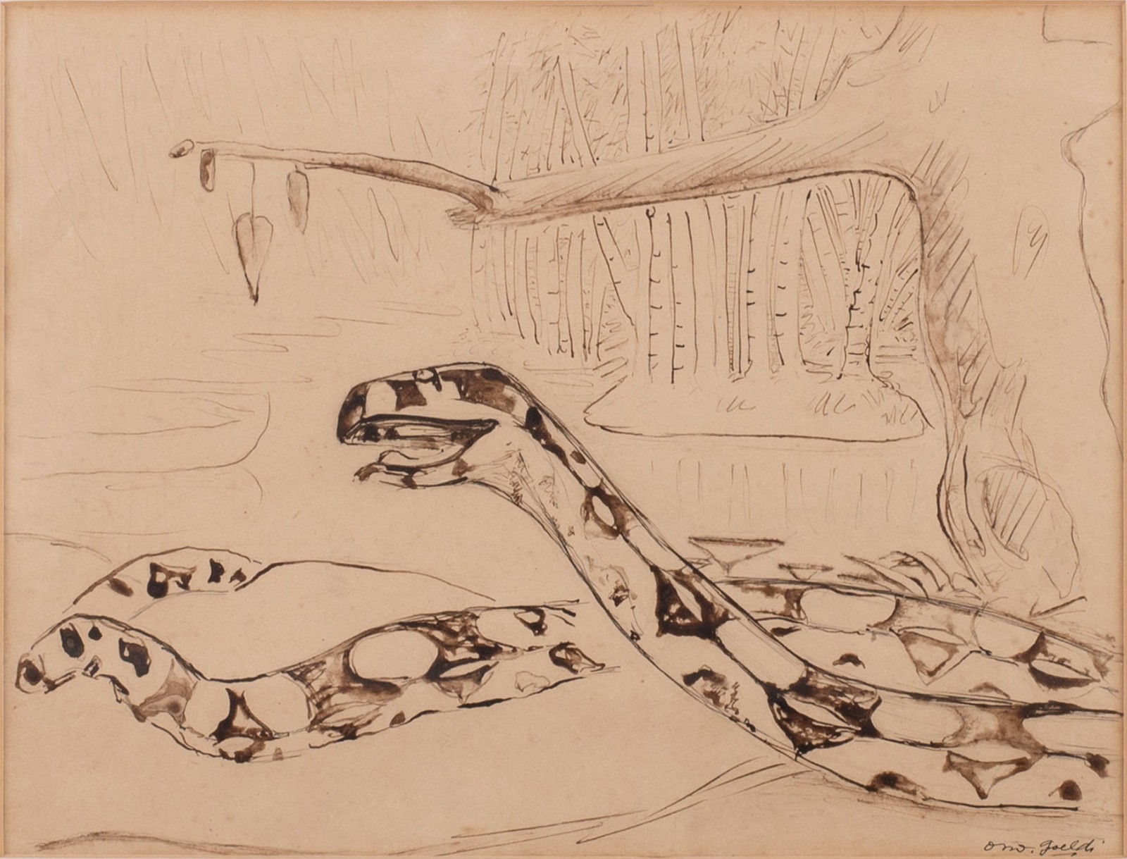 Oswaldo Goeldi (1895-1961), Serpente - Estudo para ilustração do livro Cobra Norato de Raul Bopp - foto 1 de 4