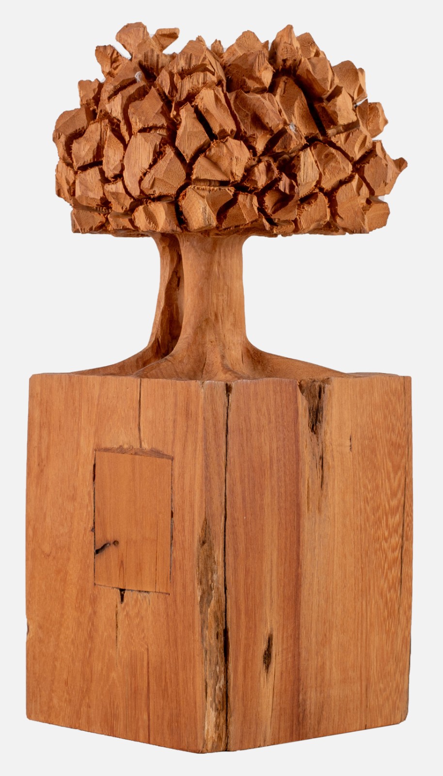 José Bento (1962), Árvores - foto 2 de 9