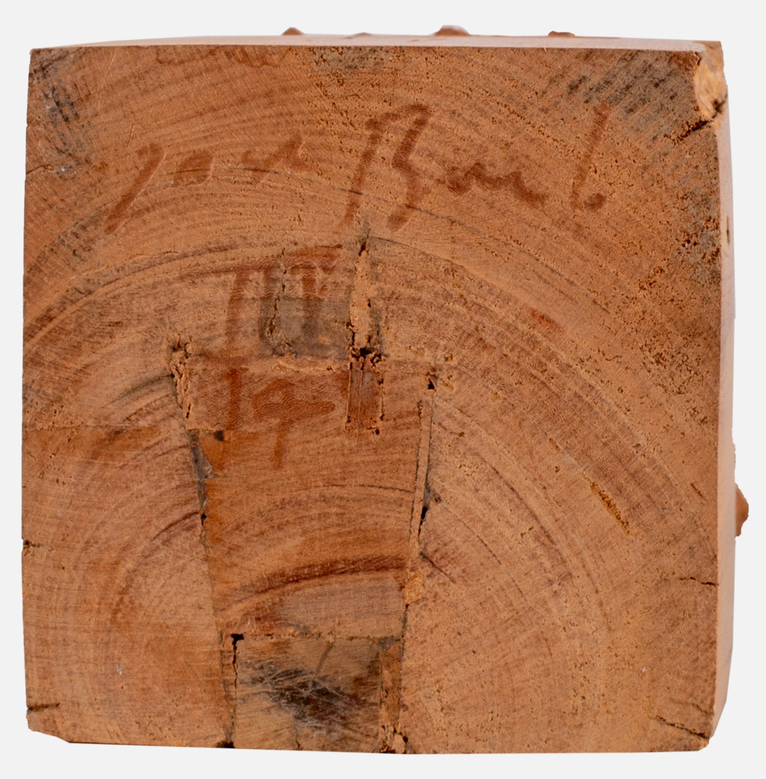 José Bento (1962), Árvores - foto 3 de 9