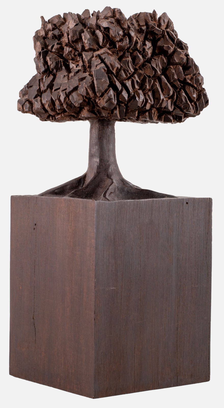 José Bento (1962), Árvores - foto 4 de 9