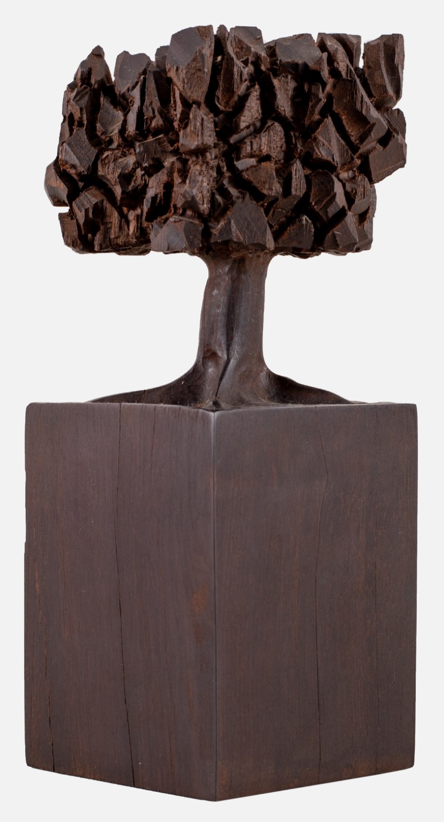 José Bento (1962), Árvores - foto 7 de 9