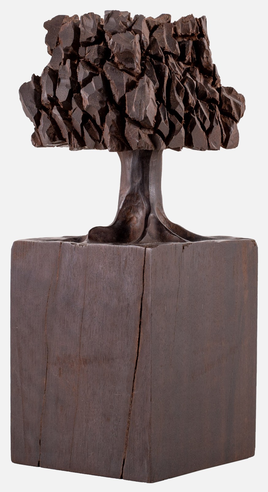 José Bento (1962), Árvores - foto 9 de 9