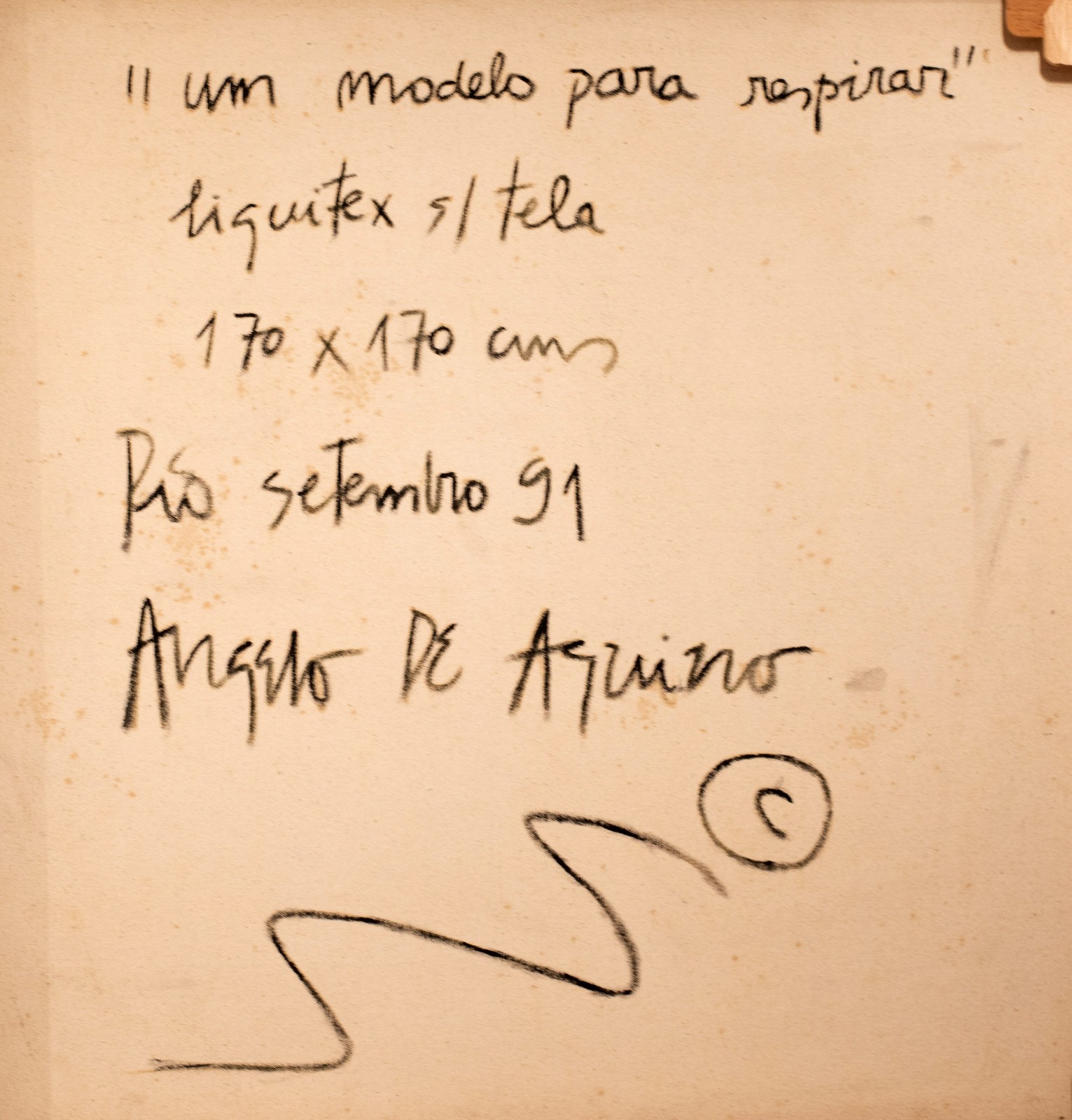 Angelo de Aquino (1945-2007), Um Modelo para Respirar - foto 5 de 6