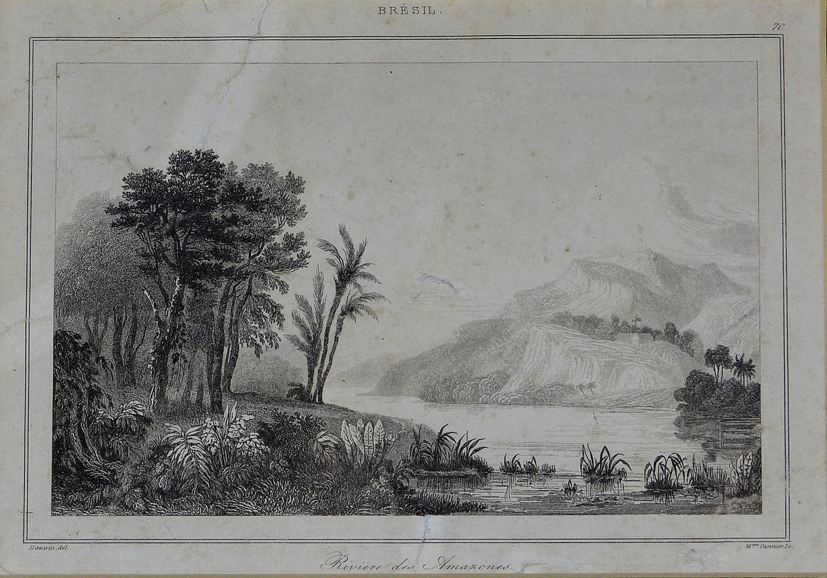 *Riviere des Amazones*, gravura por Pannier; Denis, Ferdinand, 1798... - foto 1 de 2