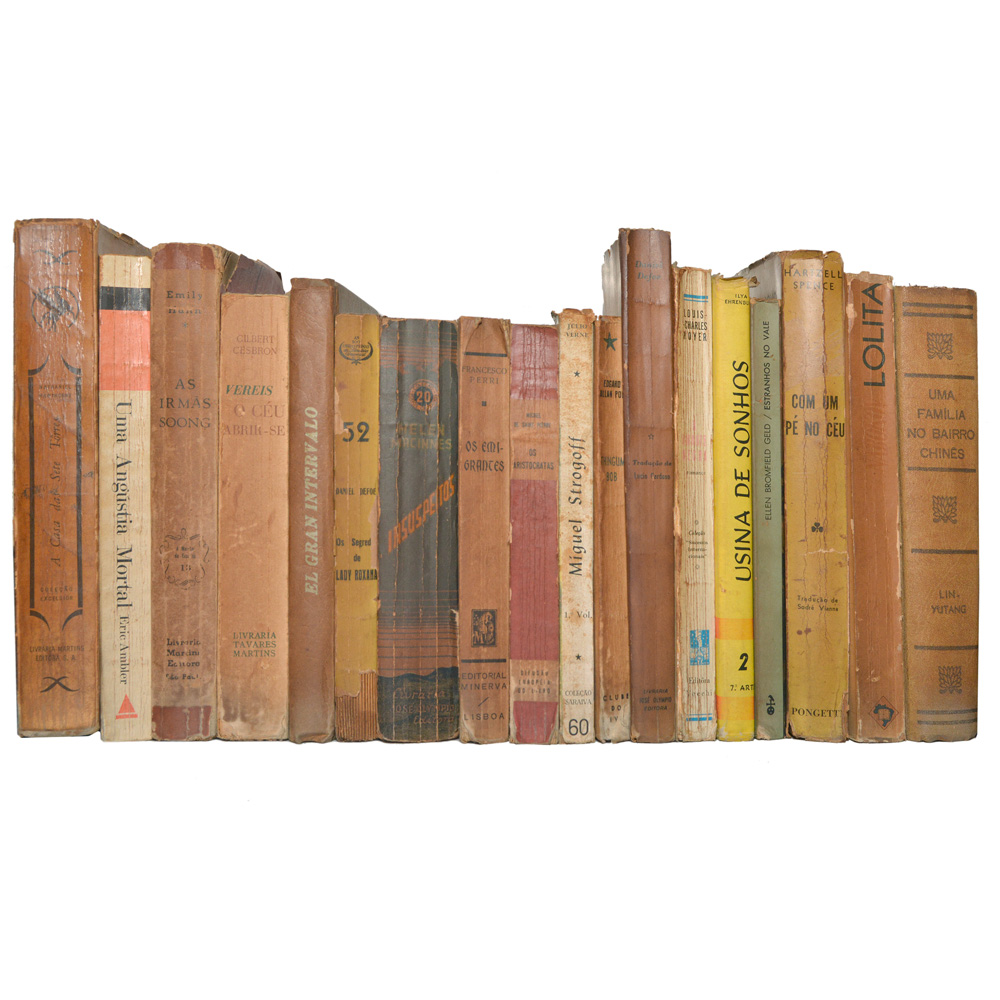 Lote composto por 18 livros com assuntos variados.
