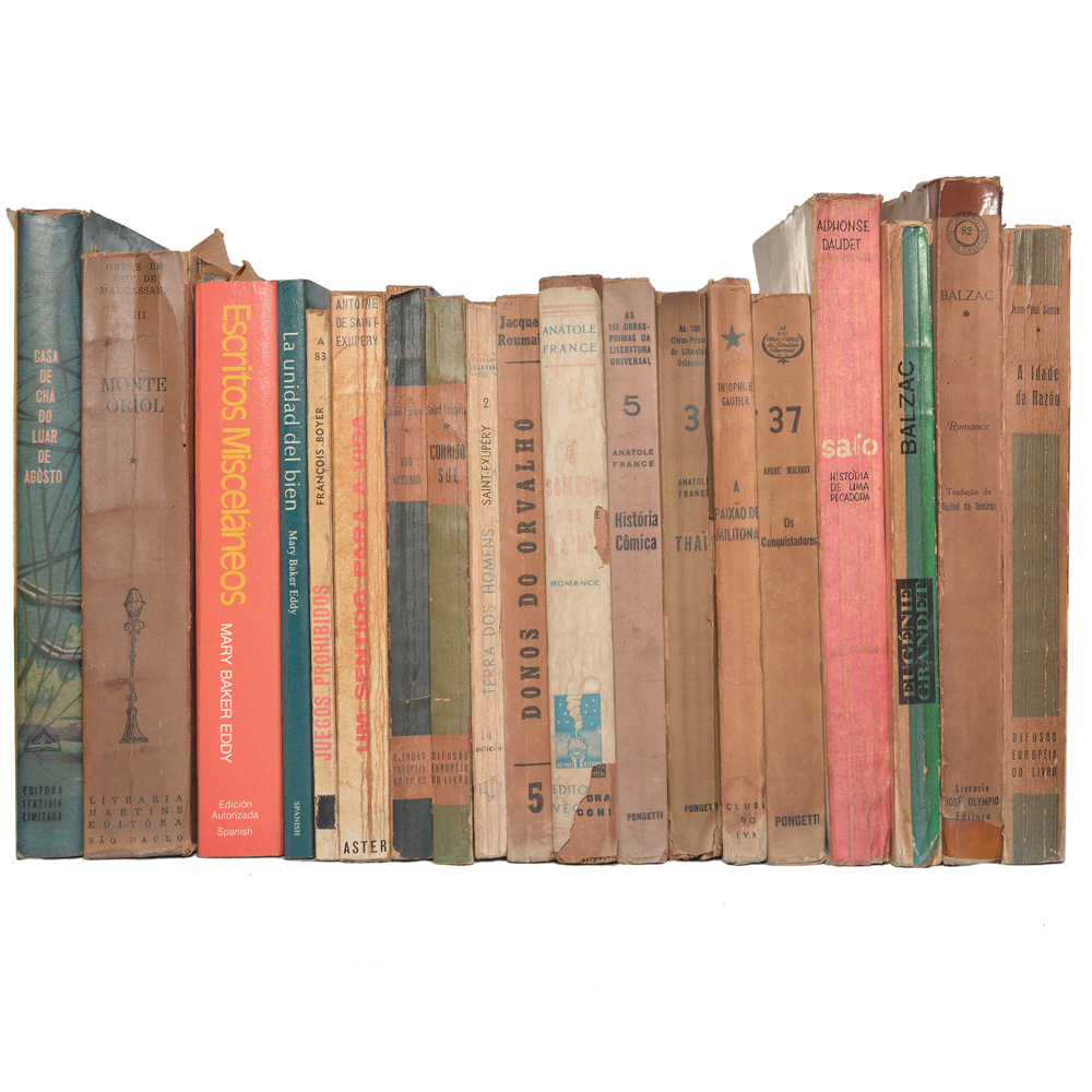 Lote composto por 19 livros com assuntos variados.