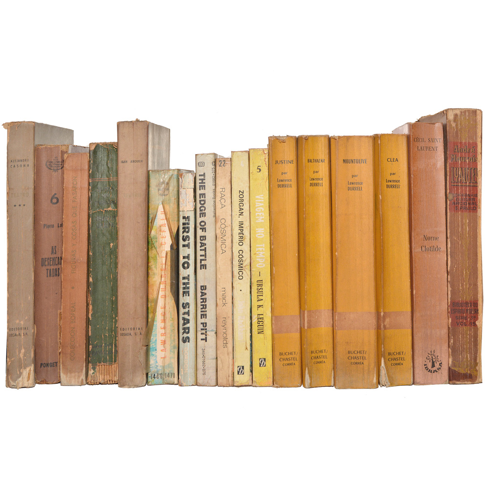Lote composto por 17 livros com assuntos variados.