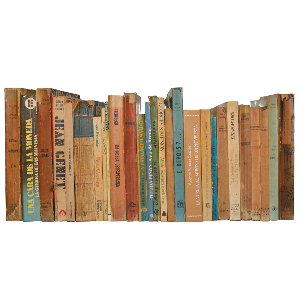 Lote composto por 27 livros de assuntos variados