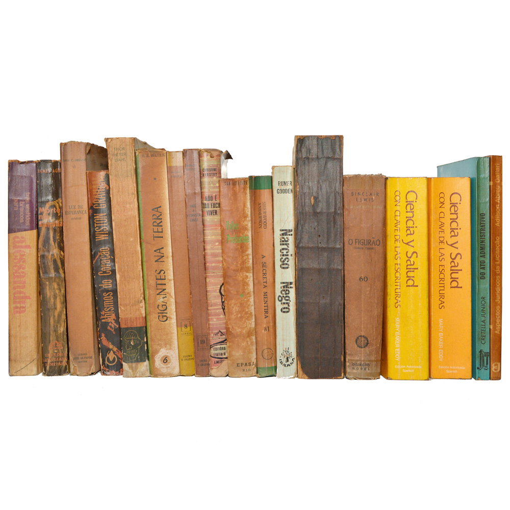 Lote composto por 18 livros de assuntos variados