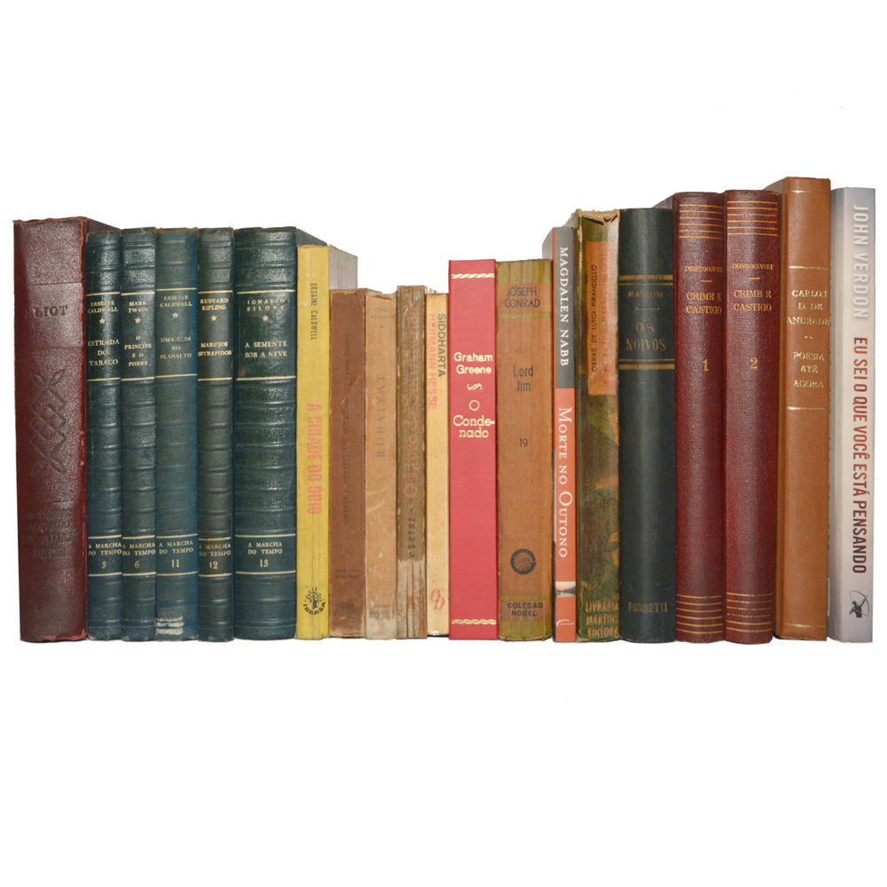 Lote composto por 20 livros de assuntos variados