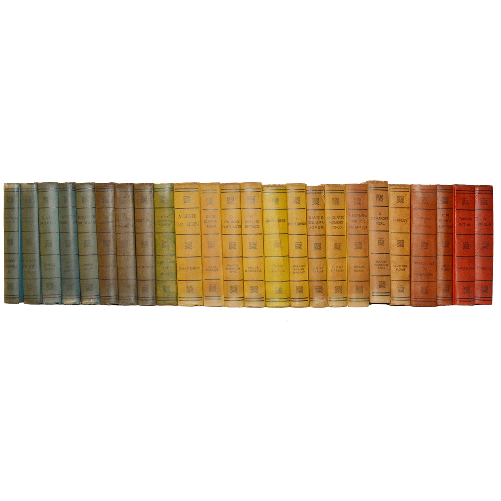 Lote composto por 24 livros de assuntos variados