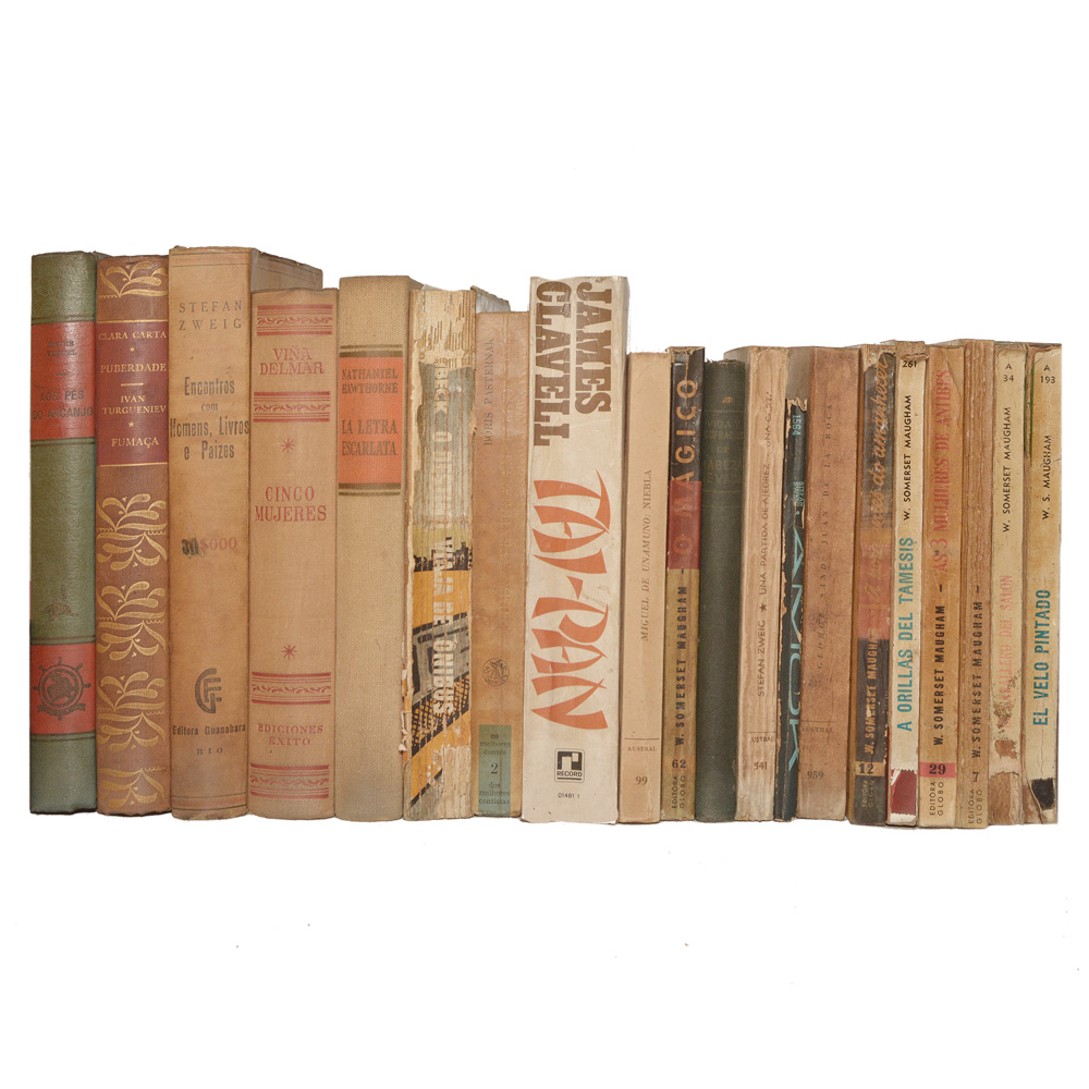 Lote composto por 20 livros de assuntos variados