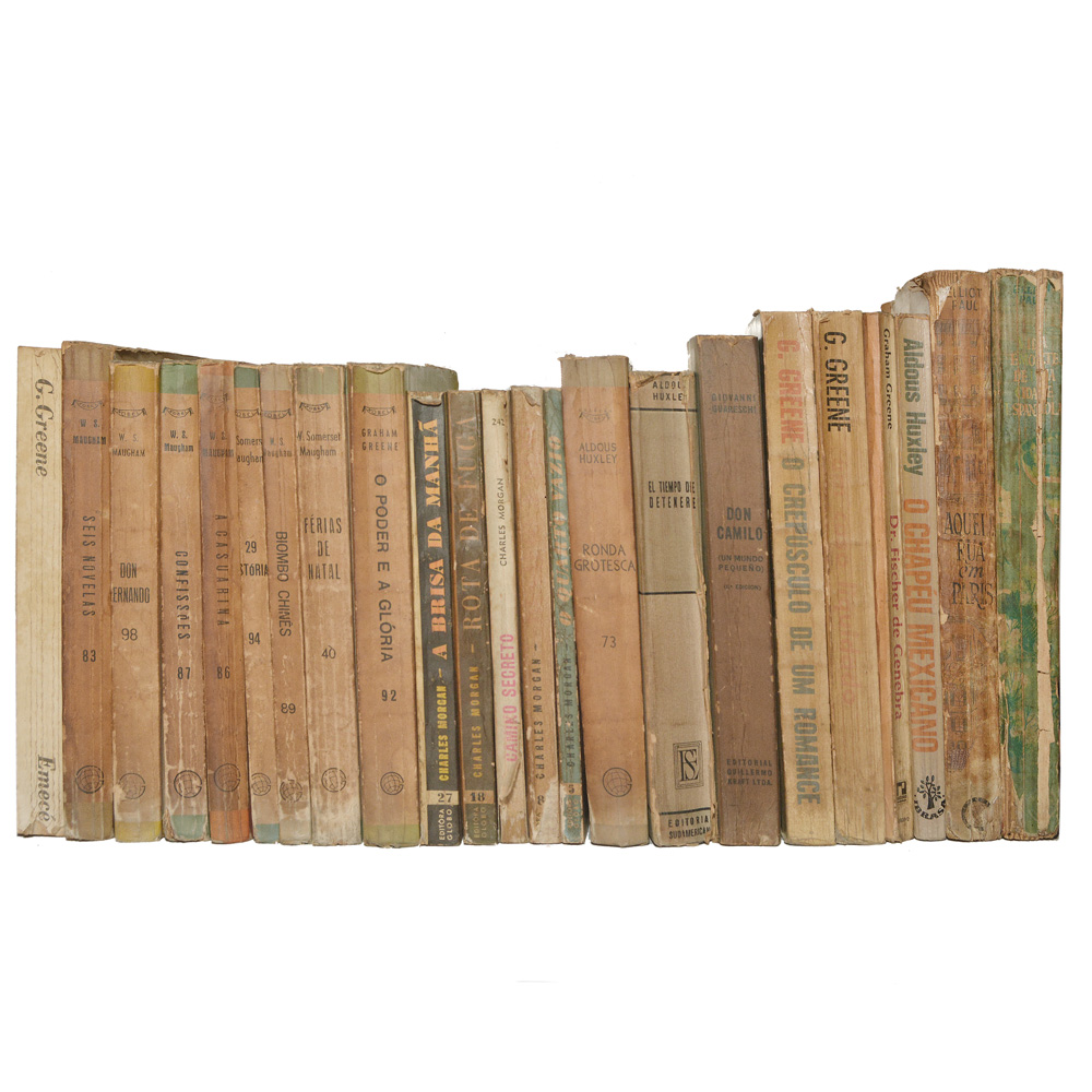 Lote composto por 23 livros de assuntos variados