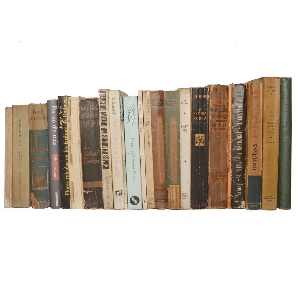 Lote composto por 23 livros de assuntos variados.