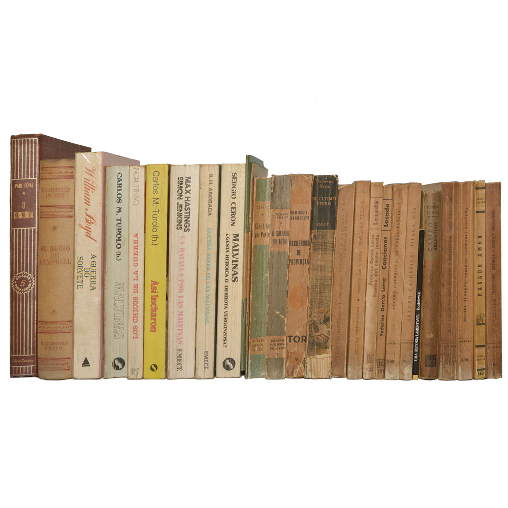 Lote composto por 27 livros de assuntos variados.