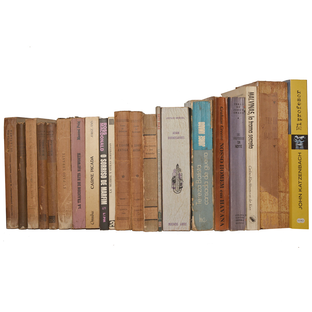 Lote composto por 22 livros de assuntos variados.