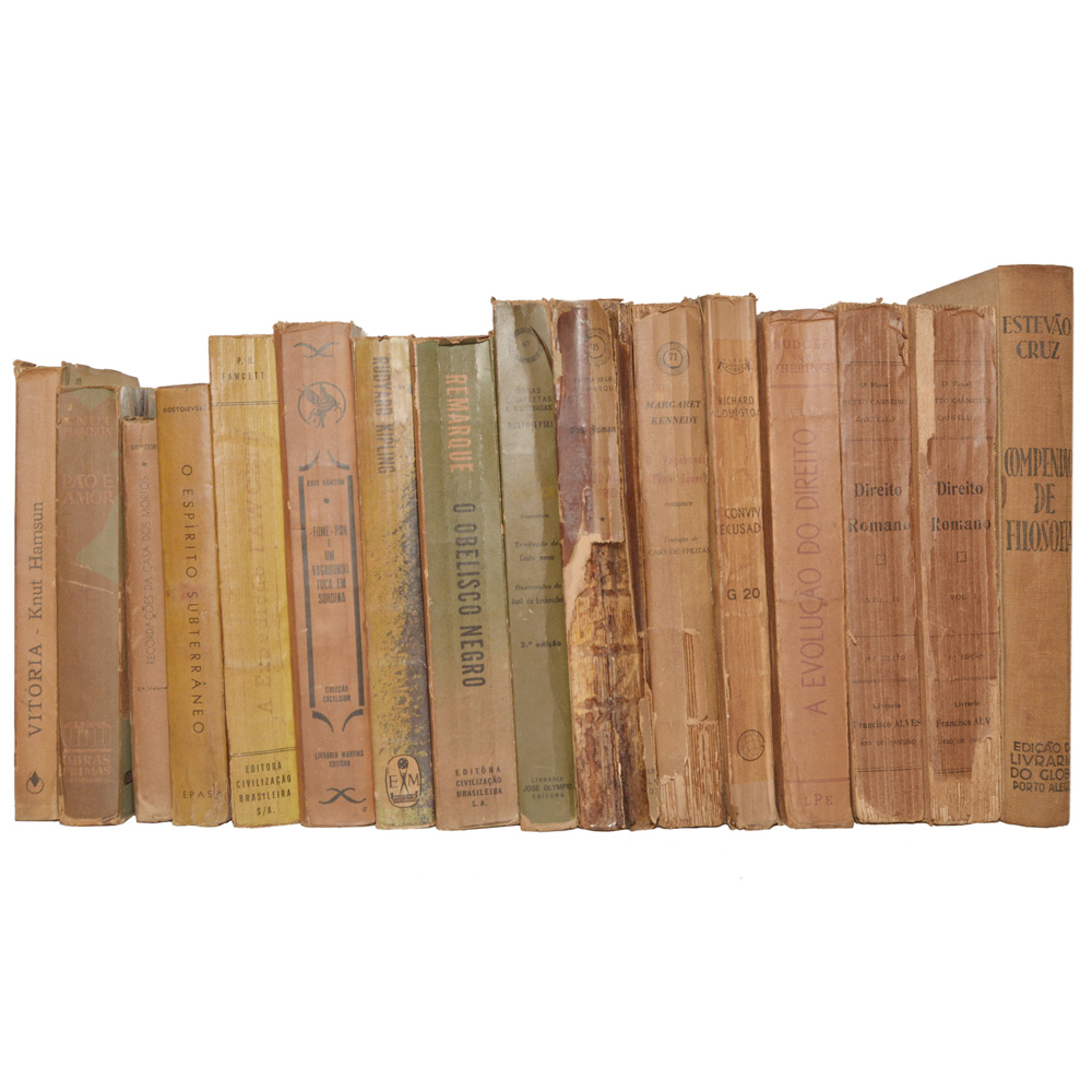 Lote composto por 16 livros de assuntos variados.