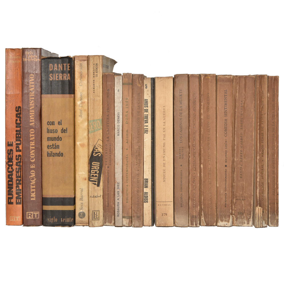 Lote composto por 18 livros de assuntos variados.