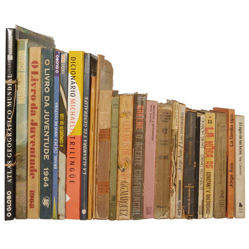 Lote composto por 25 livros de assuntos variados.