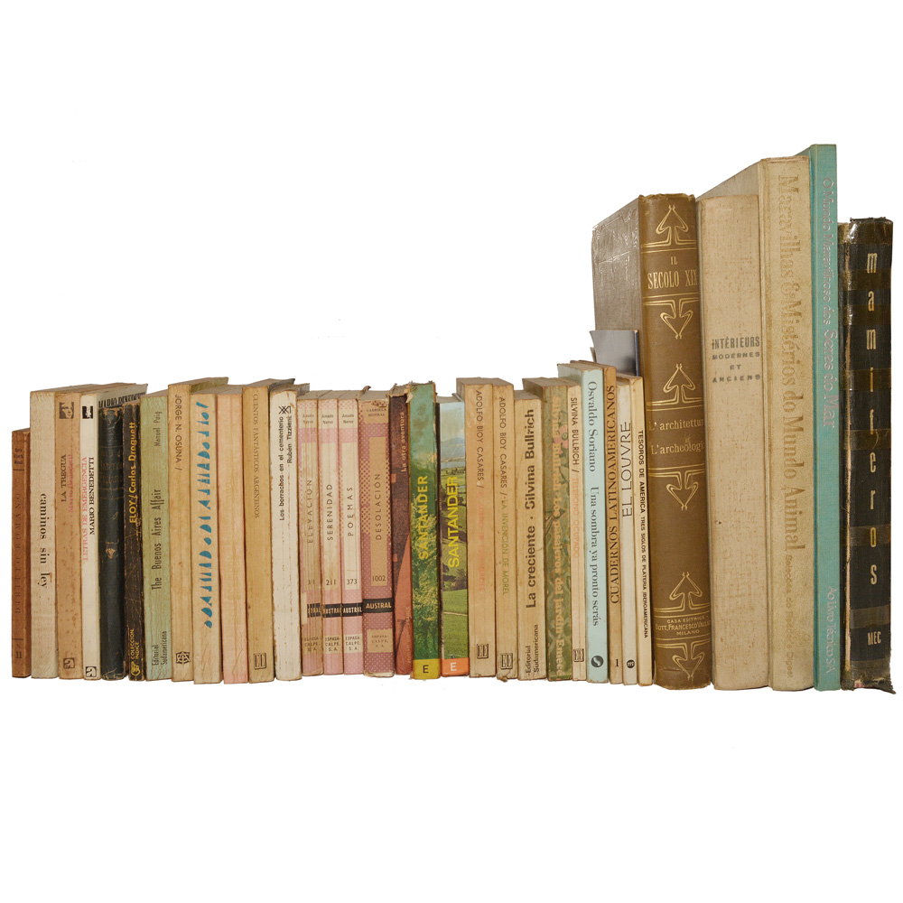 Lote composto por 33 livros de assuntos variados.