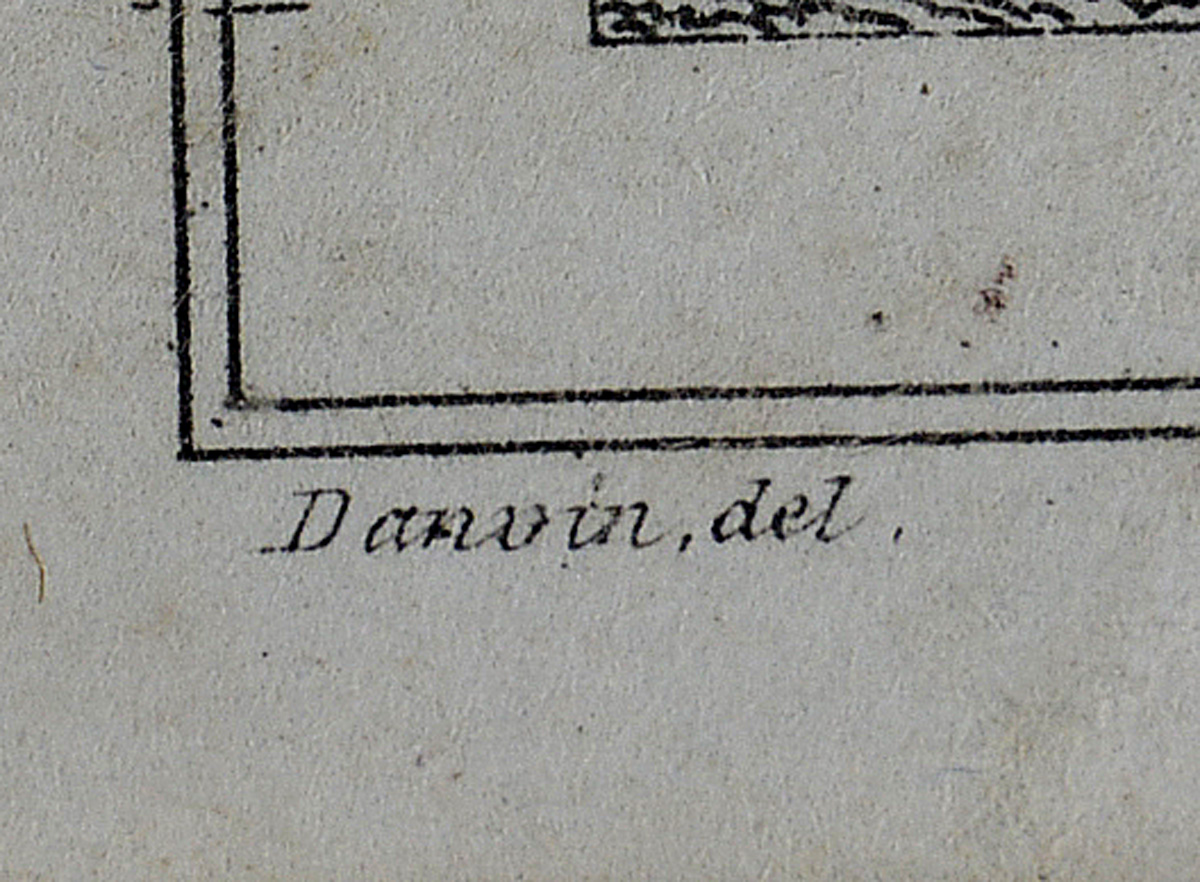 *Riviere des Amazones*, gravura por Pannier; Denis, Ferdinand, 1798... - foto 2 de 4