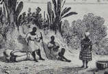 *San Salvador*, gravura francesa do século XIX ... - *San Salvador*, gravura francesa do século XIX representando paisagem brasileira por Por Denis, Ferdinand, 1798-1890; Vanderburch; Alès, 1797-18...