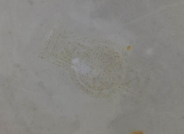 Raríssisma refresqueira com recipiente para gelo em pasta de vidro e... - foto 4 de 6