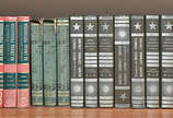 Dicionários diversos 22 volumes - Dicionários diversos 22 volumes