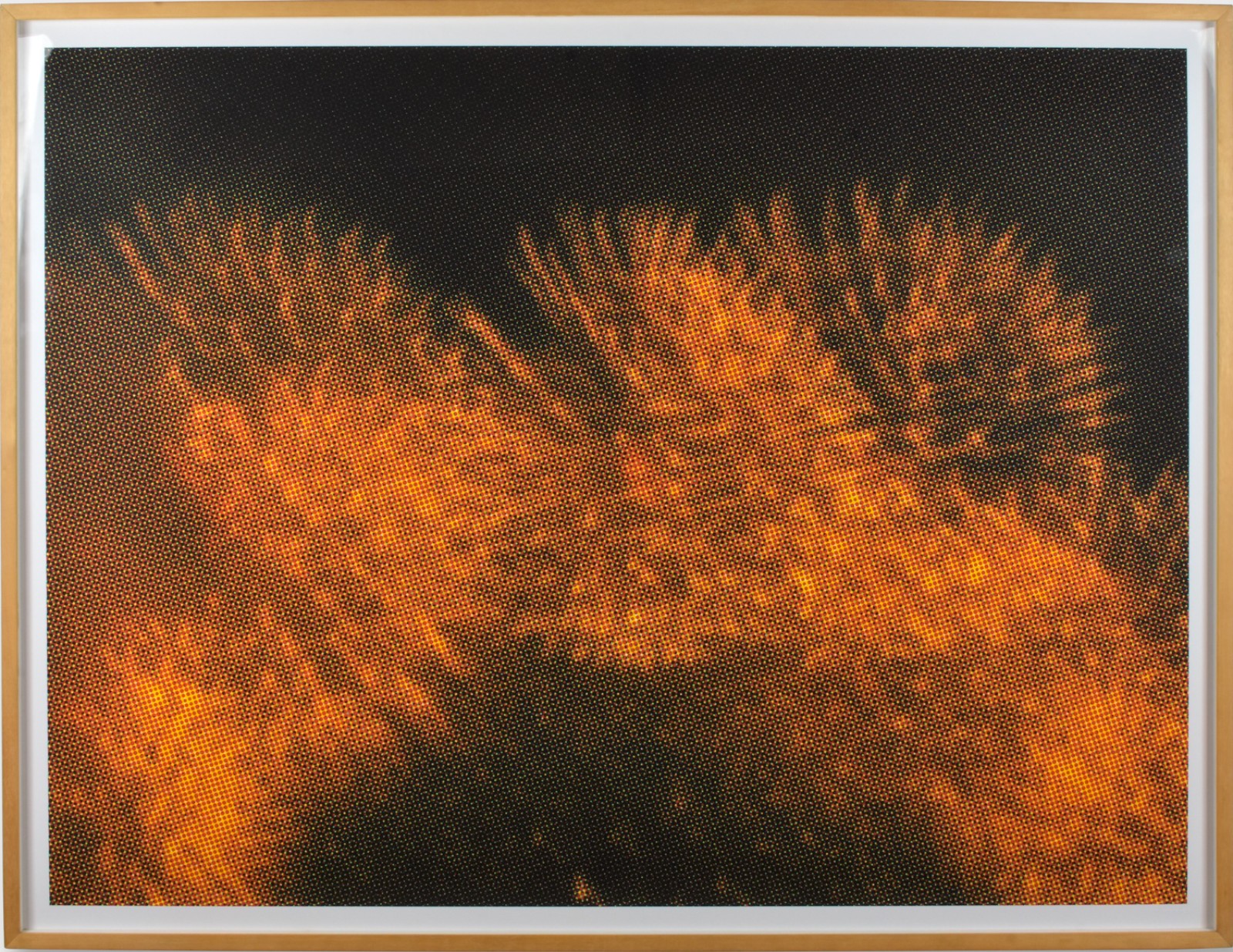 Vicente de Melo (1967), STOBO # 09, 2009 - foto 1 de 4
