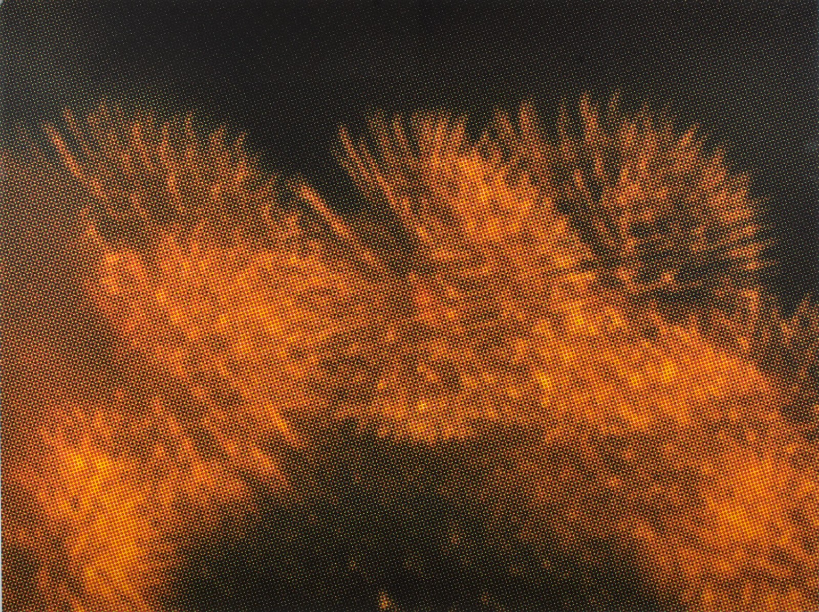Vicente de Melo (1967), STOBO # 09, 2009 - foto 3 de 4