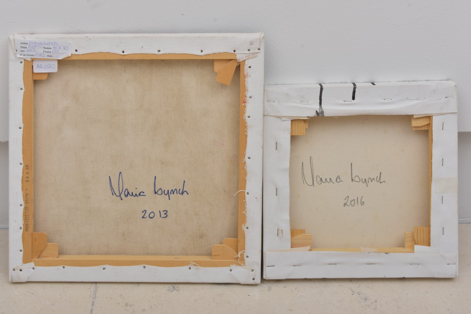 Maria Lynch (1981), Sem título - 2013 -  Díptico Pintura, - foto 2 de 4