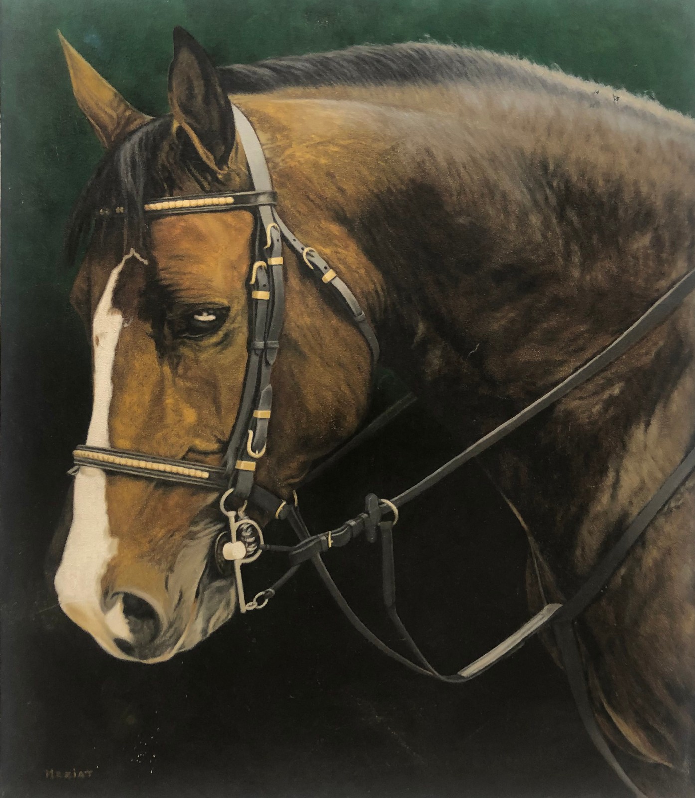 Cabeça de Cavalo, 1997 - foto 1 de 3