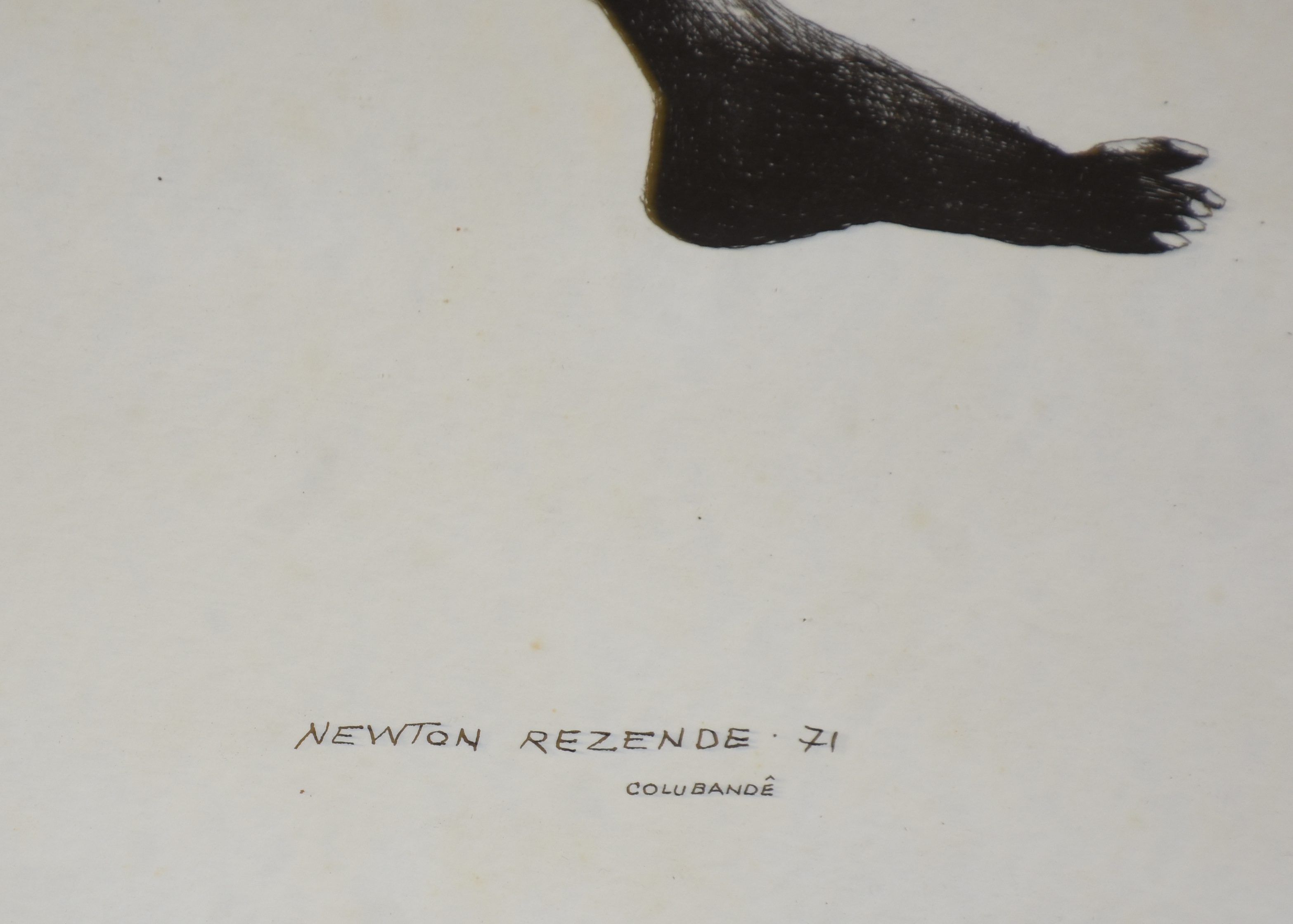 Newton Rezende (1912-1994), Colubandê - foto 2 de 2