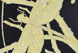 Paulo Climachauska (1962), Rota da Seda - 2008
Óleo s/ tela
96 x 140 cm
Ass. verso