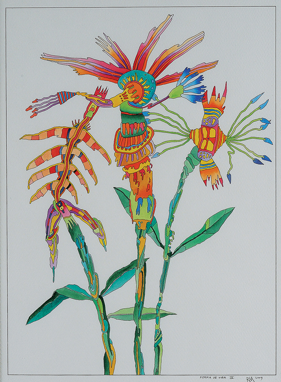Roberto Magalhães (1940), Forma de vida IV