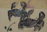 Aldemir Martins (1922-2006), Caranguejos, 1975 - Aquarela<br>Assinado e datado 75 no centro.