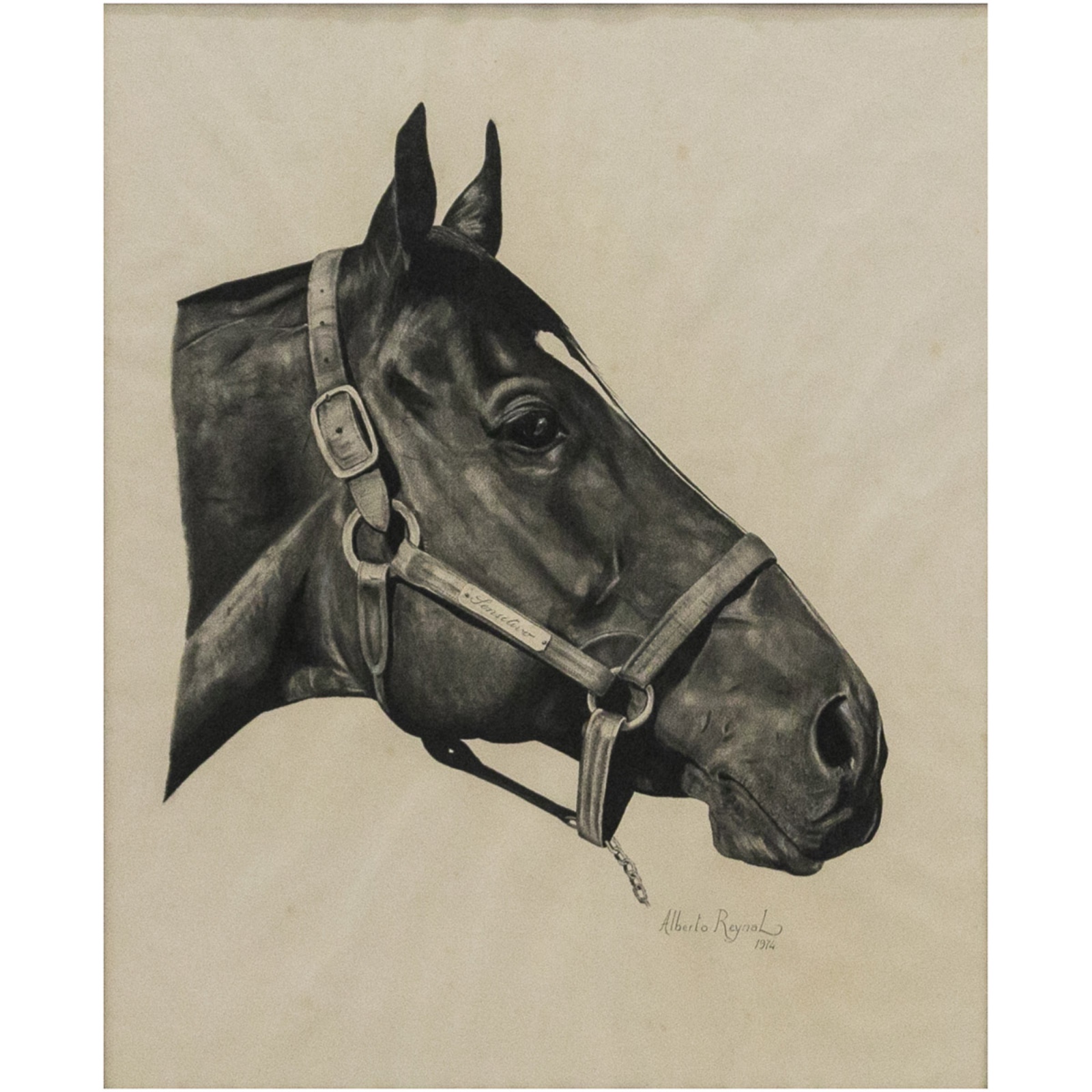 Cavalo - foto 1 de 3