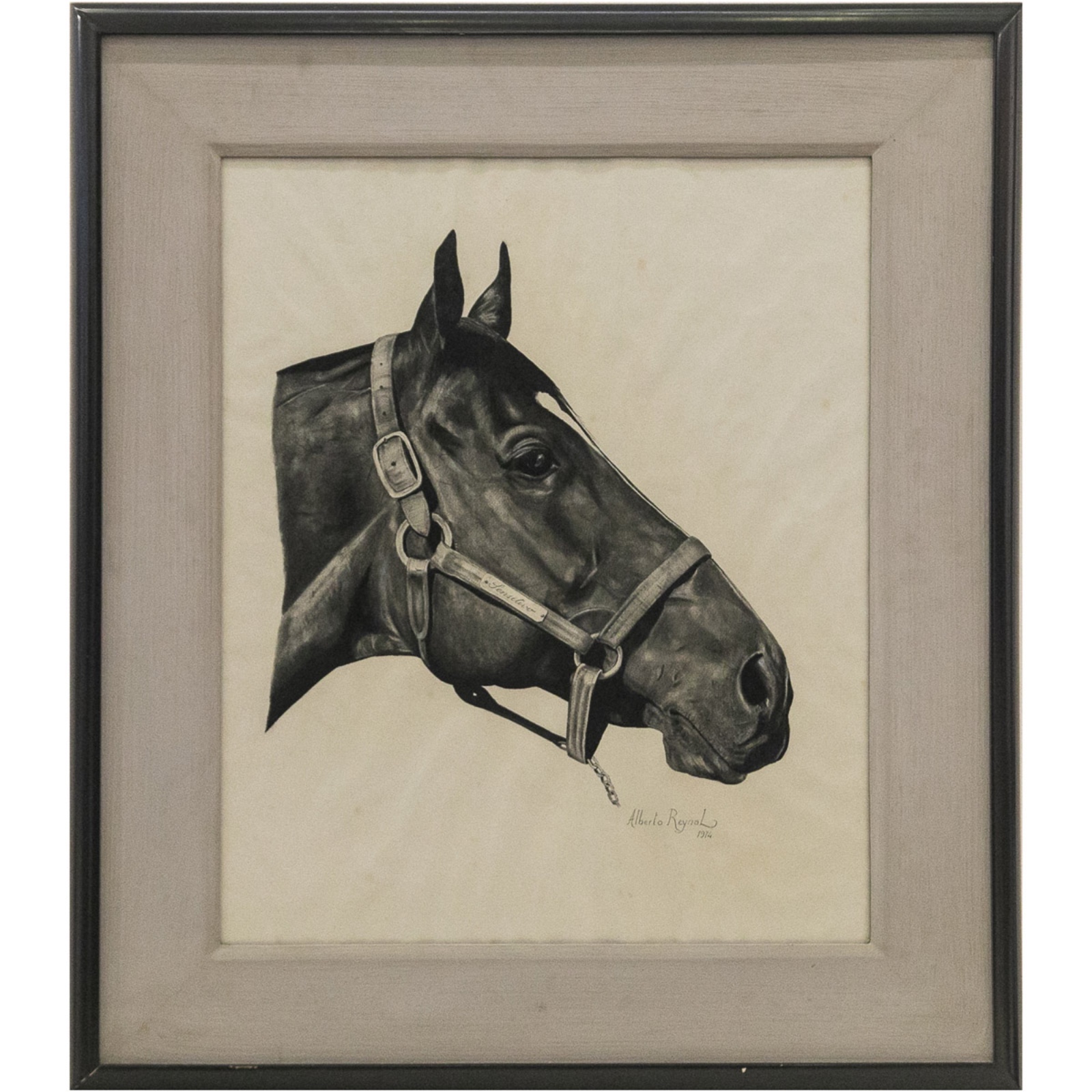 Cavalo - foto 2 de 3