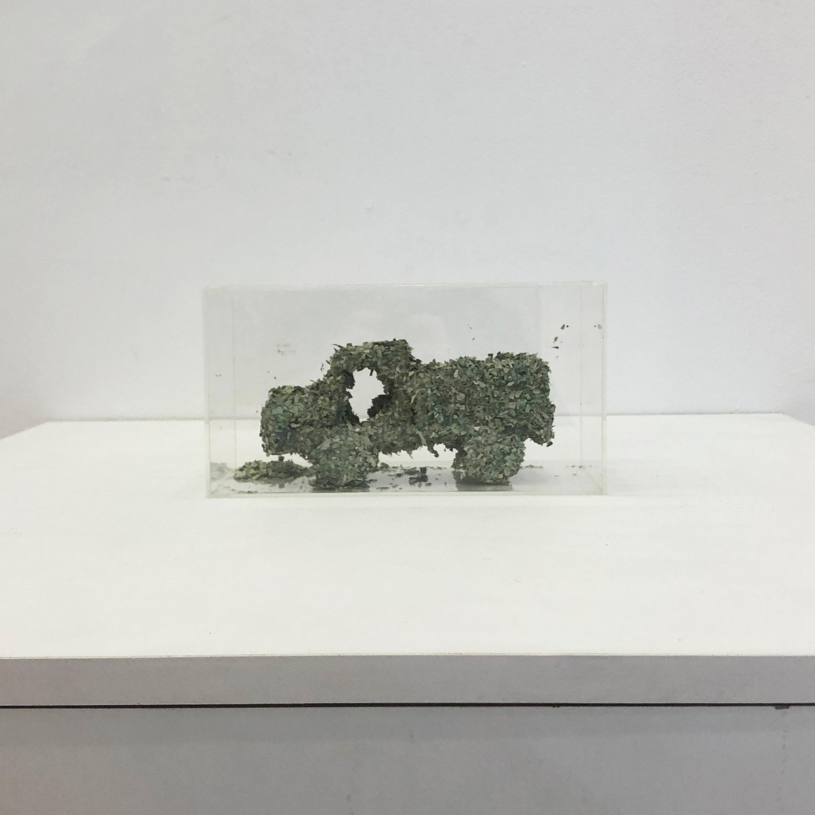Felipe Barbosa (1978), CAMINHÃO - foto 4 de 4