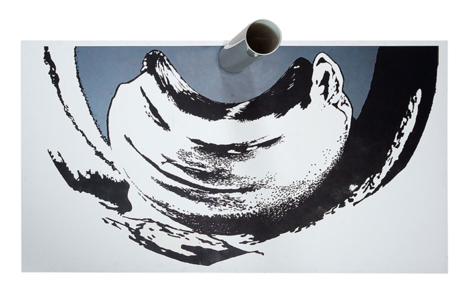 Antonio Peticov  (1946), Anamorfose com Oswald de Andrade