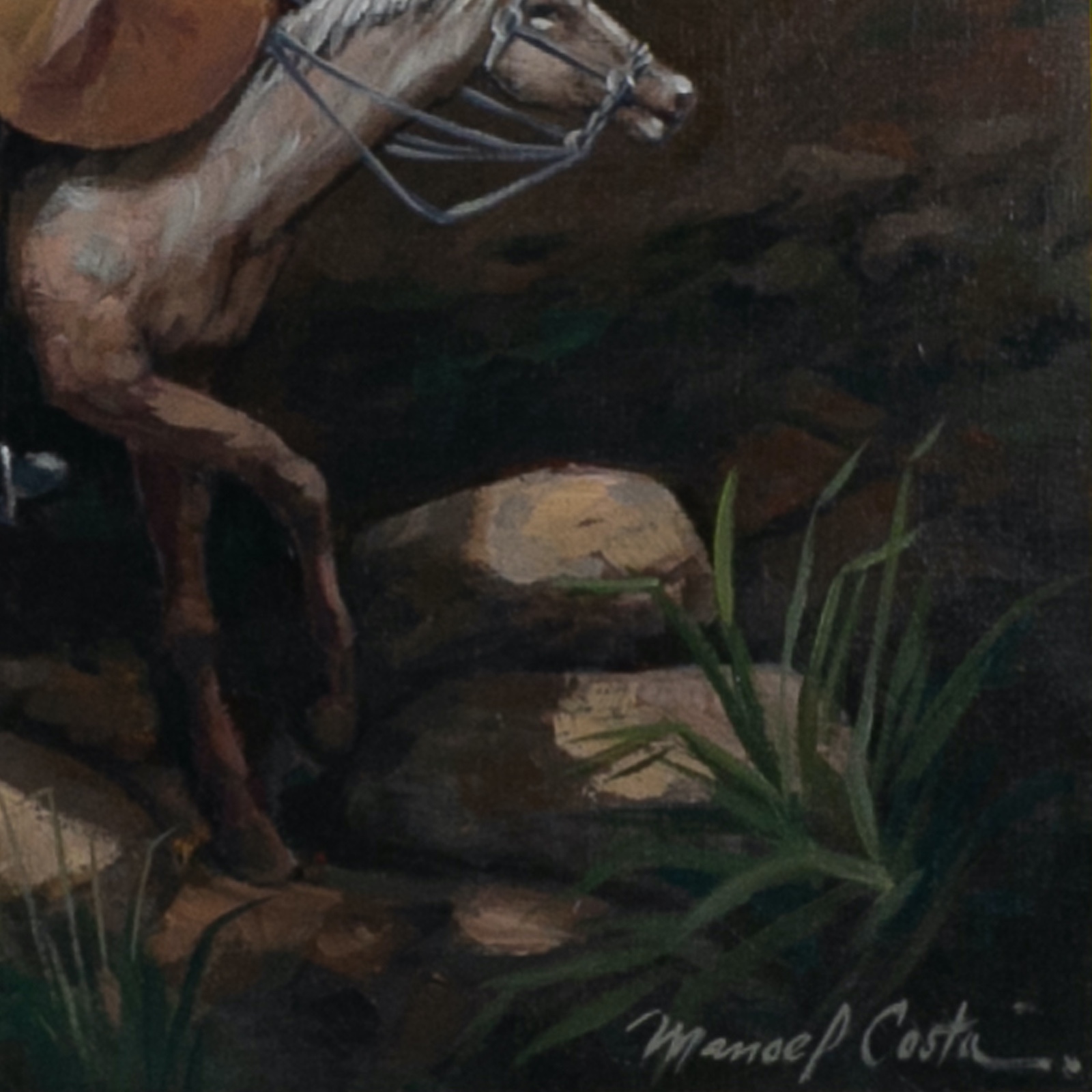 Manoel Costa (1943), Dom Quixote - foto 3 de 4