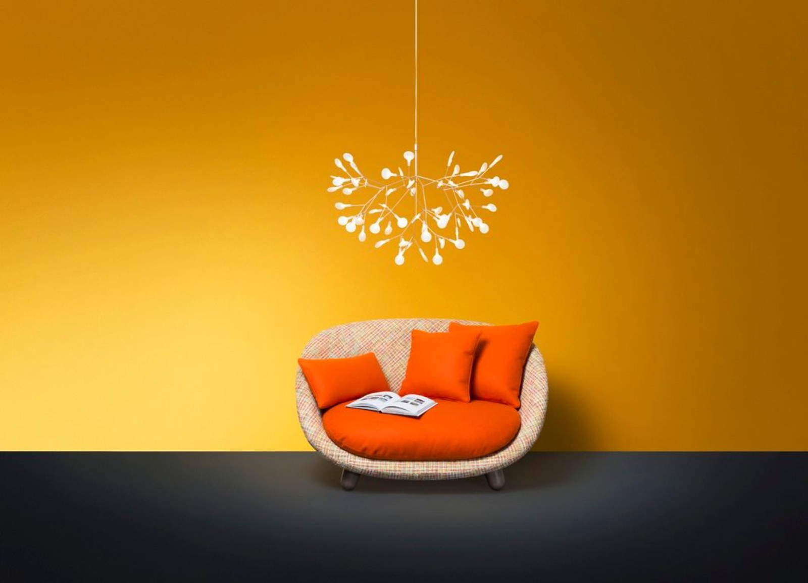 Heracleum copper - foto 1 de 3