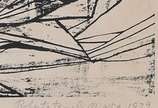 Roberto Burle Marx (1909-1994), Rino Levi , 1979 - Litografia<br>Ass. Inf. direito.<br>Edição 177 de 200.<br>