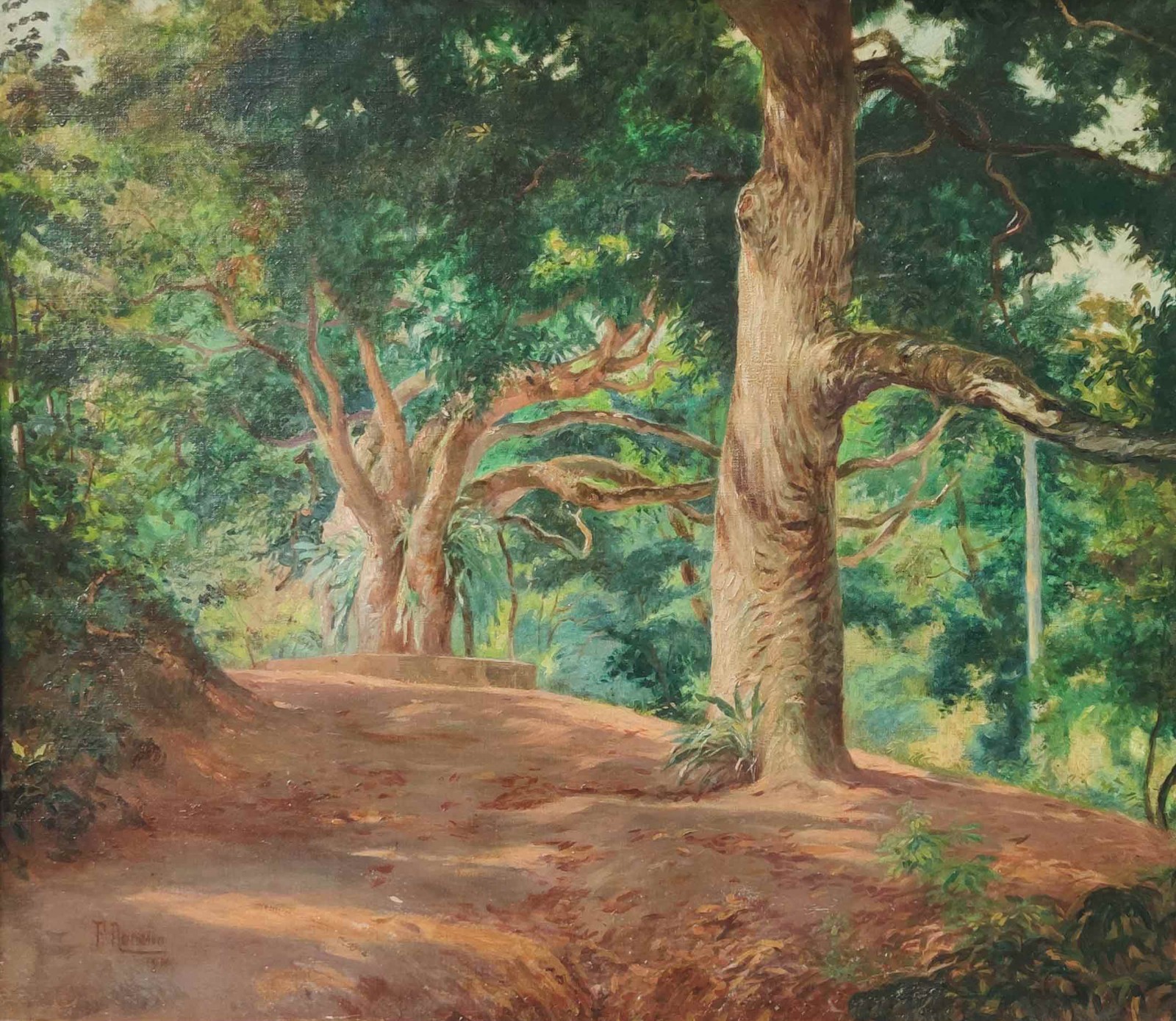 Francisco Aurélio (1854-1916), Floresta da tijuca - foto 1 de 4
