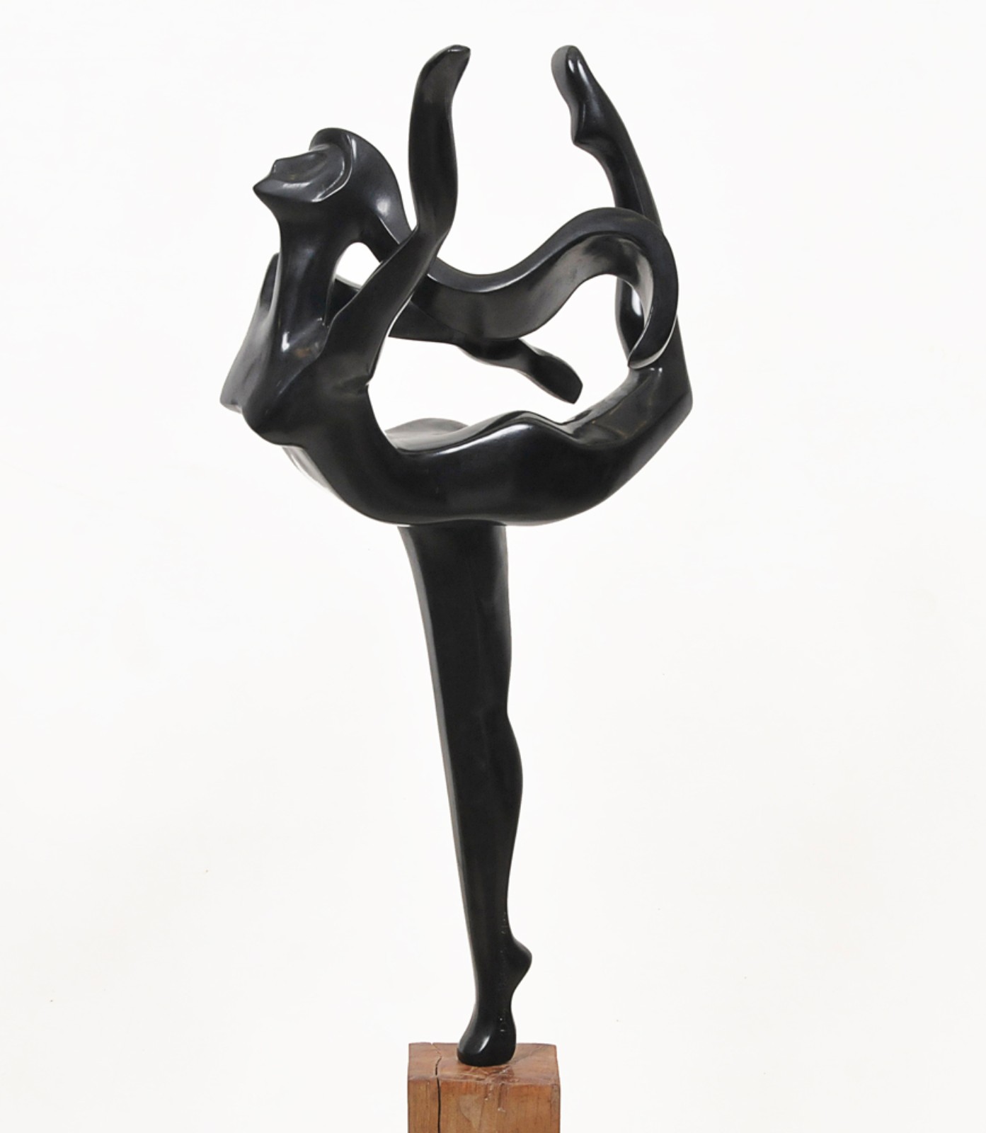 Diego Rodrigues (1985), Bailarina - foto 3 de 10