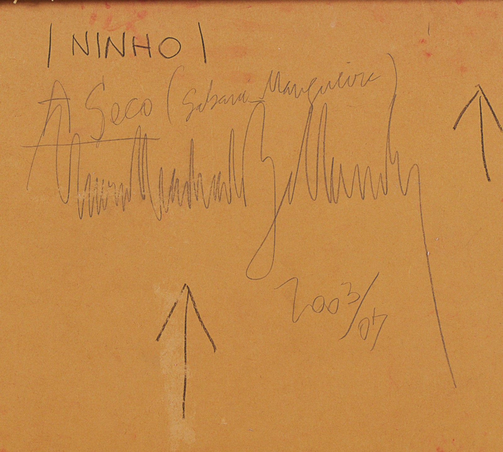 Ninho, 2003/07 - foto 6 de 10